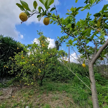 Stefanos Garden Αρμένοι