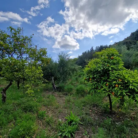 Stefanos Garden * Αρμένοι