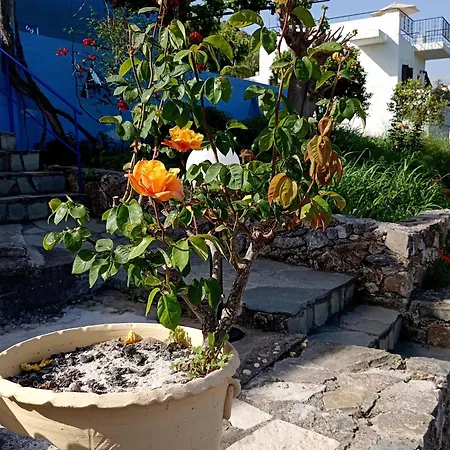 Διαμέρισμα Stefanos Garden Αρμένοι