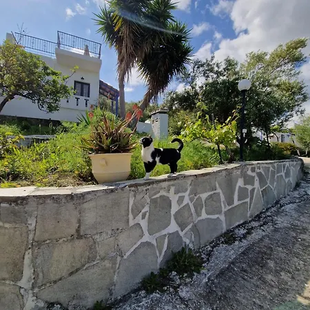 Lägenhet Stefanos Garden