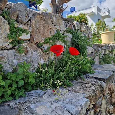 Stefanos Garden Lägenhet Arménoi
