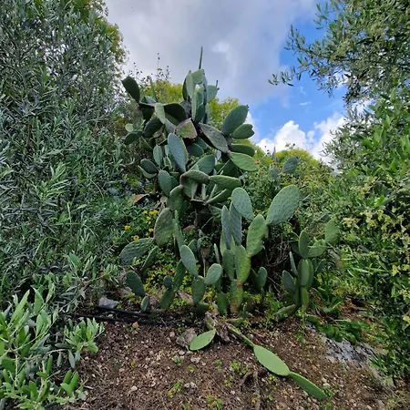 Stefanos Garden Arménoi