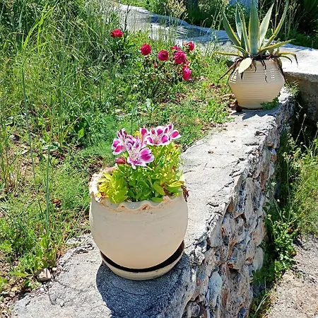 Stefanos Garden Lägenhet Arménoi